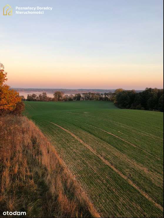 Działka nad jez. Lubikowskim możliwość podzielenia - Pełny obrazek: 5/9