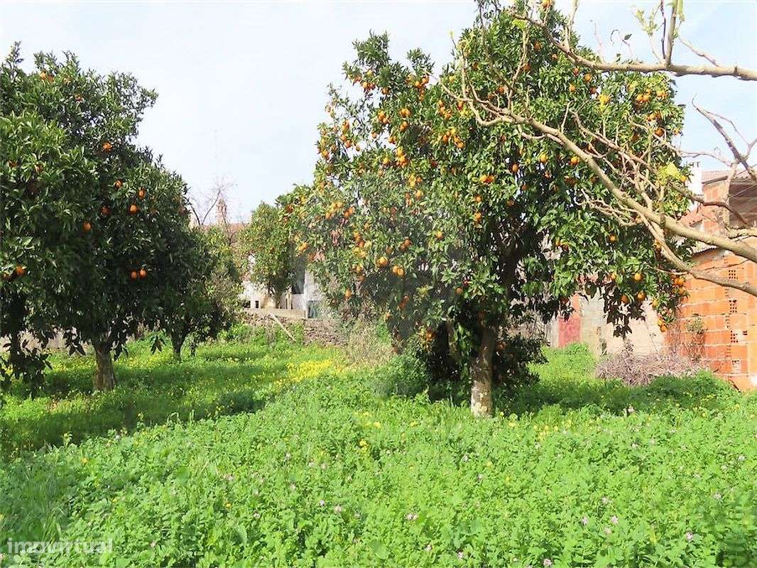 Moradia T2 para venda-27