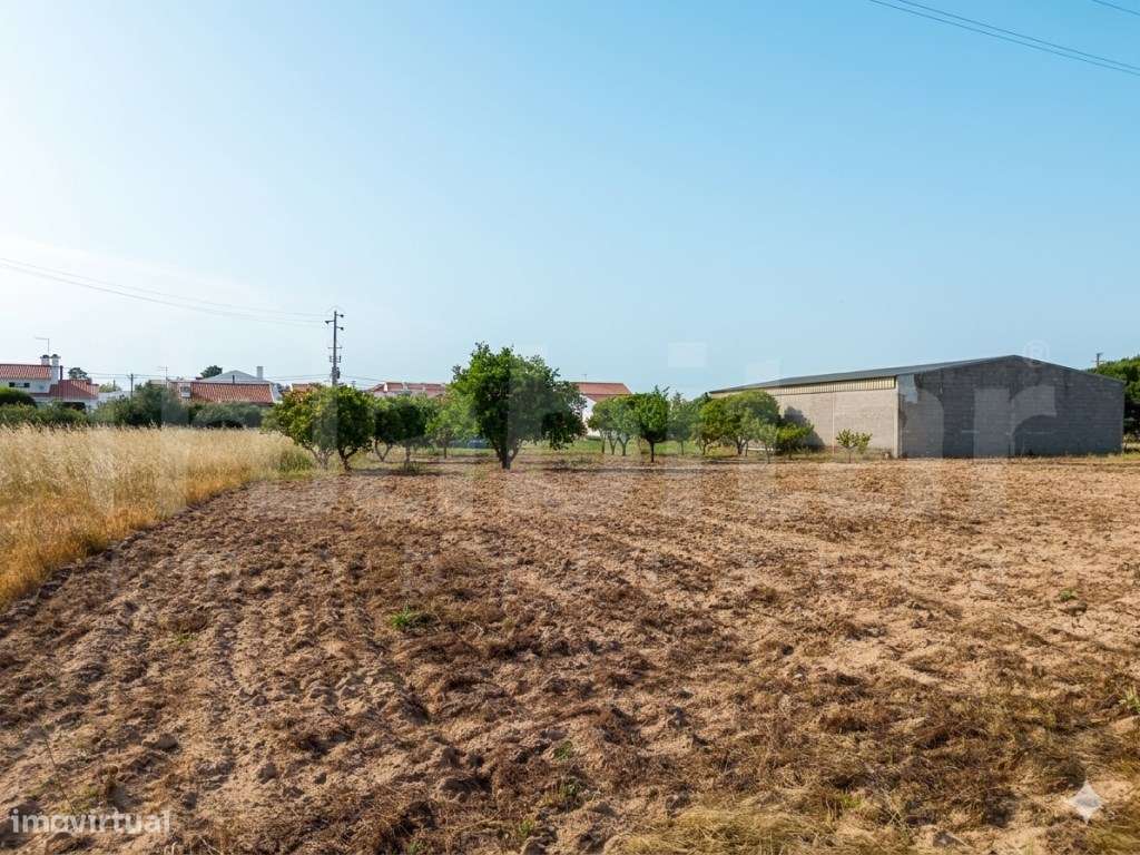 Armazém com 288 m², com Terreno Urbano com 3.893 m² - Benavente-8
