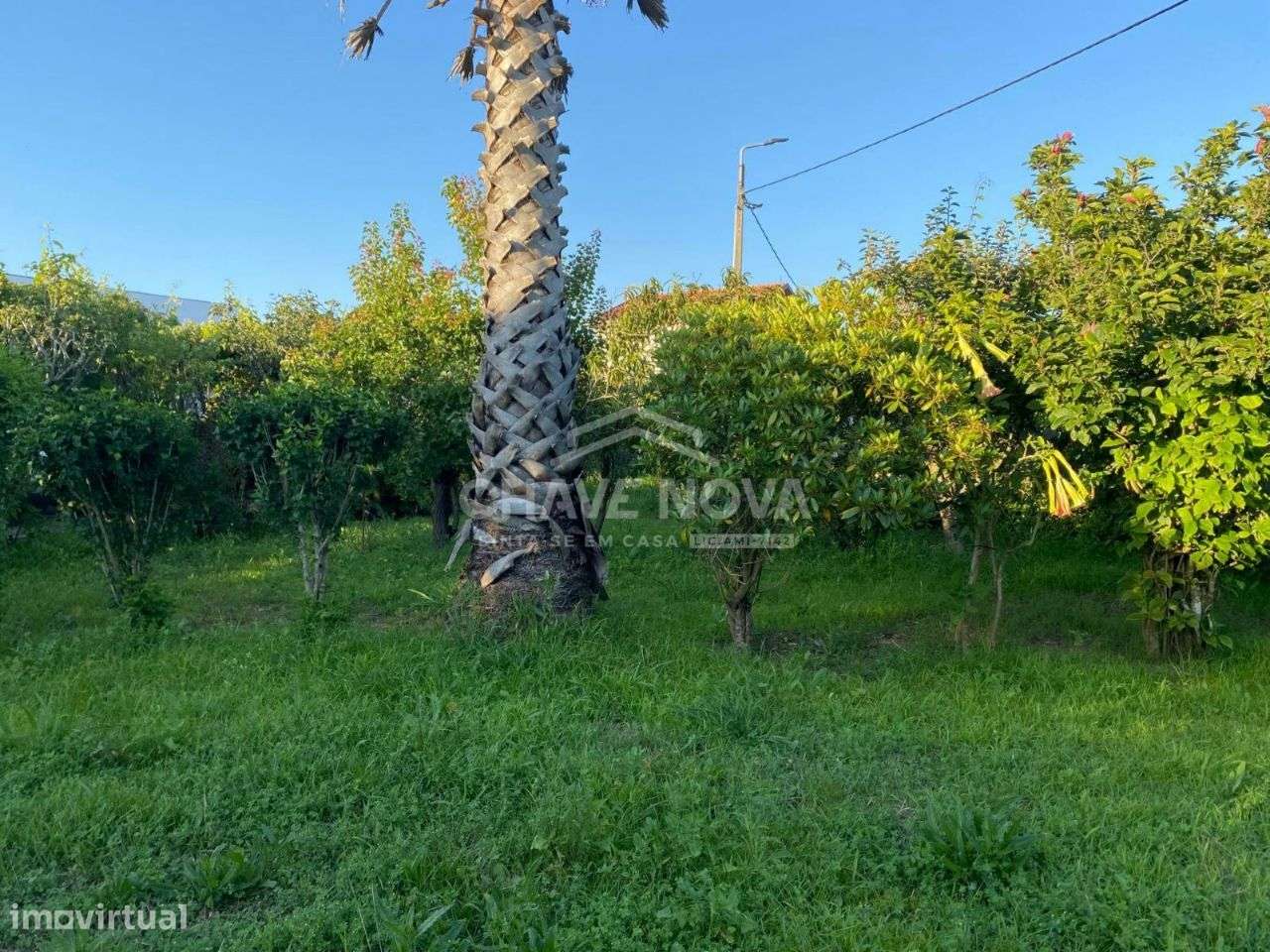 Terreno na Madalena com 1000m² murado - Grande imagem: 4/16