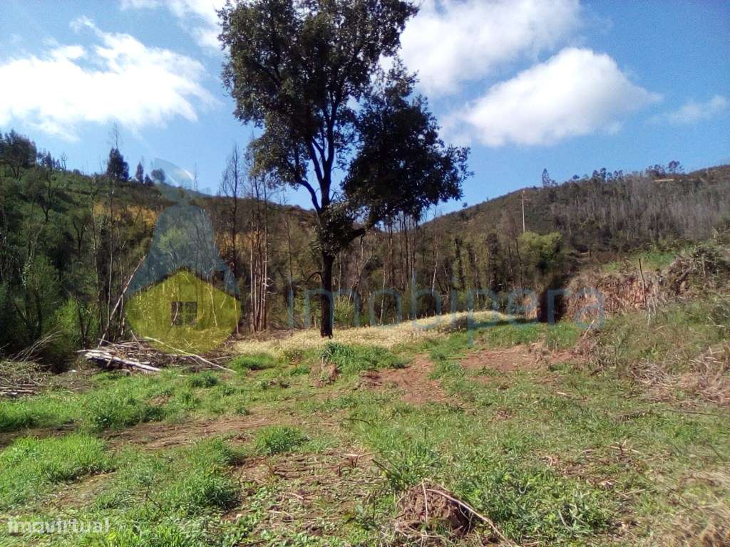 Terreno Rústico

Rustic Land

Terre rustique - Grande imagem: 5/10