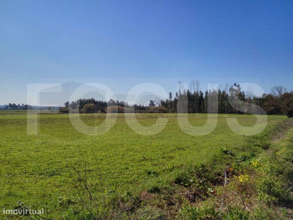 Terreno Rústico - Grande imagem: 2/5