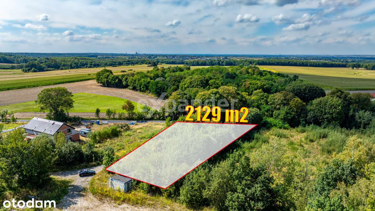 ul. Grudniowa, Zielona i Spokojna okolica! - Pełny obrazek: 2/19