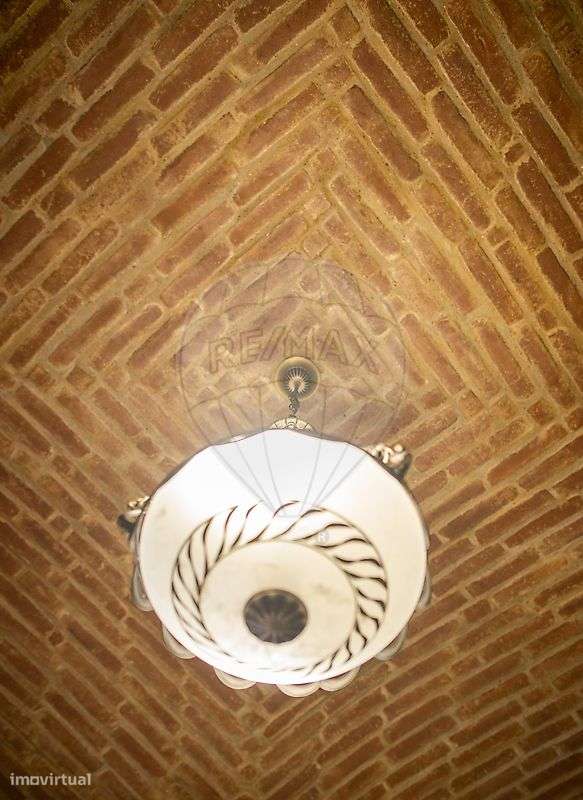 Quinta T10 para venda-15