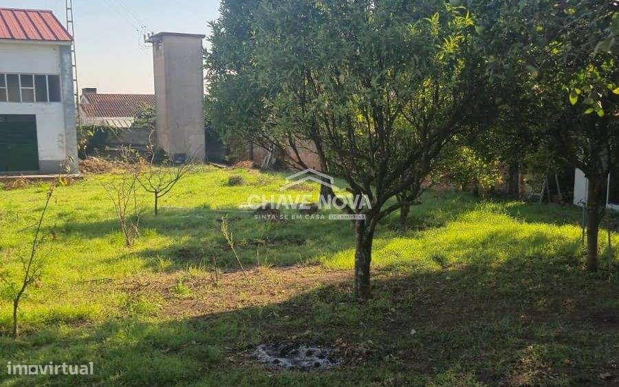 Armazém Industrial - Vila Nova de Gaia - Grande imagem: 4/25