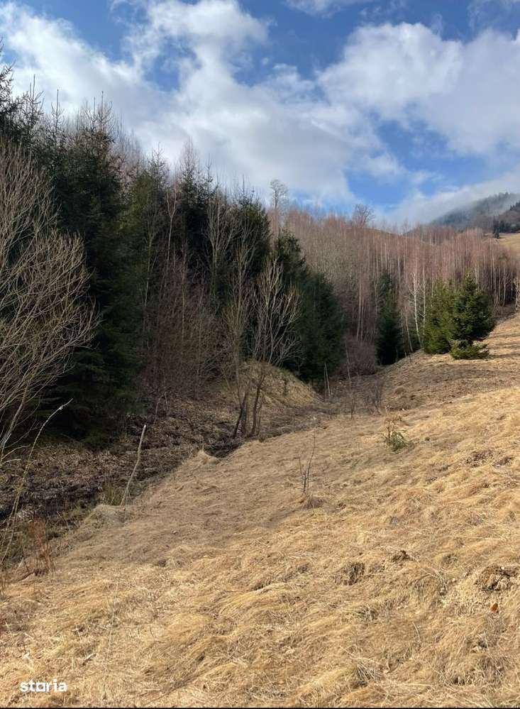 Teren Cu Potential De Dezvoltare În ZONA TURISTICĂ MAGURA-PESTERA-8