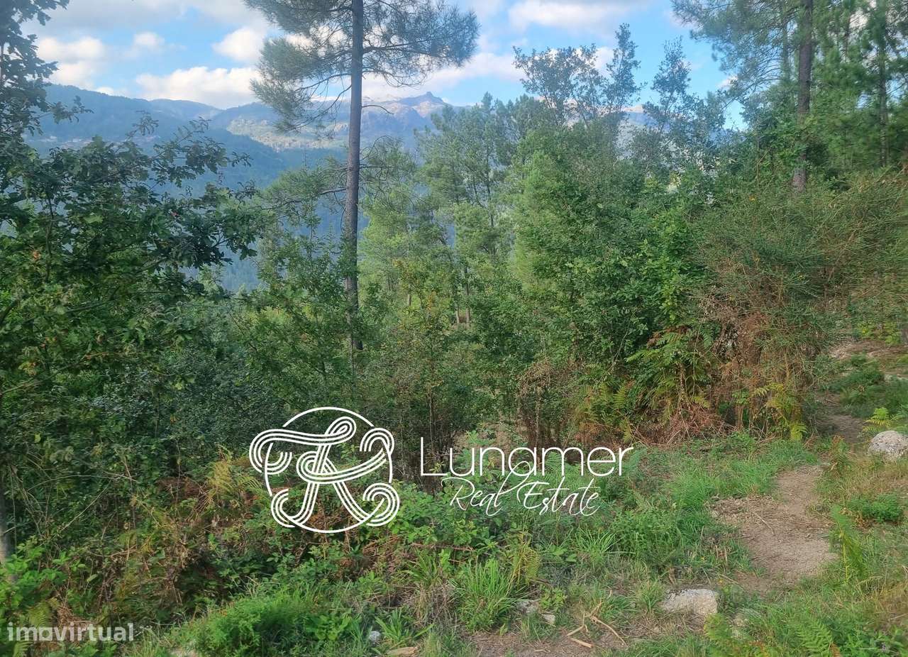Conjunto de Terrenos em Louredo, Vieira do Minho - Grande imagem: 4/6