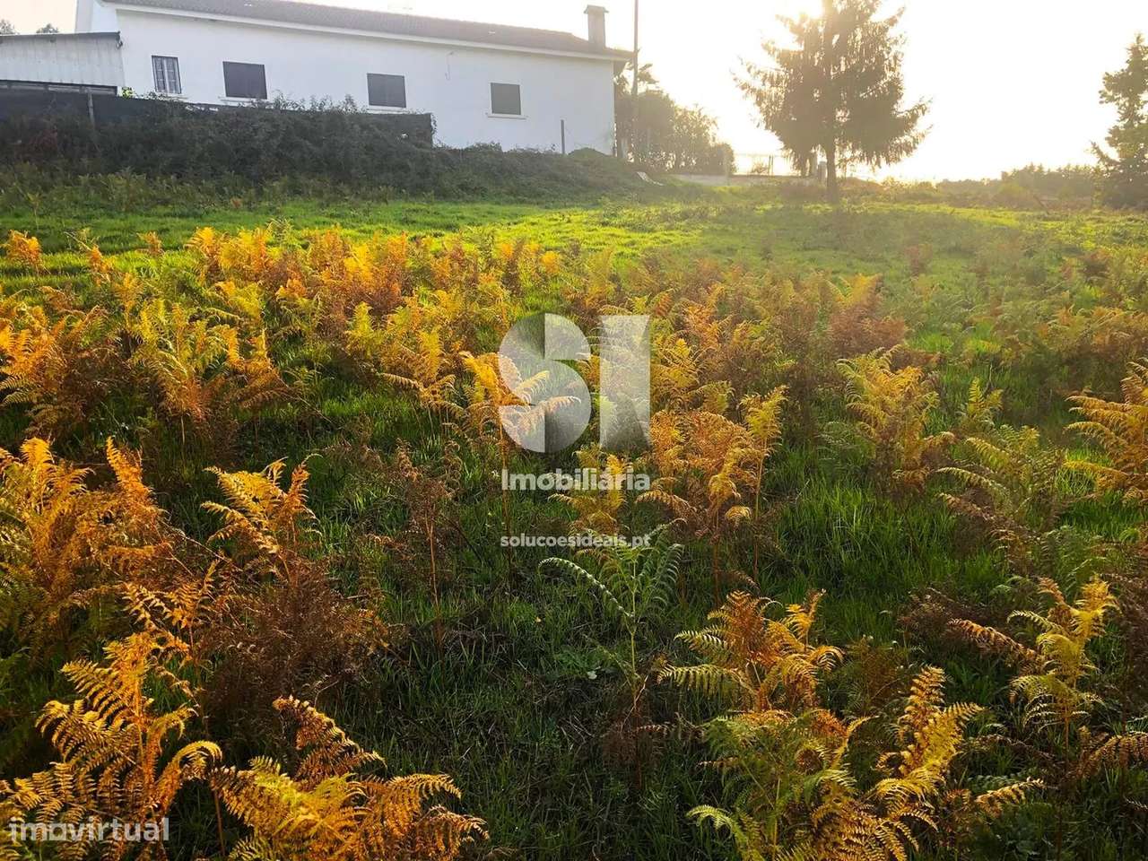 Terreno em Sabrosa - Grande imagem: 4/15