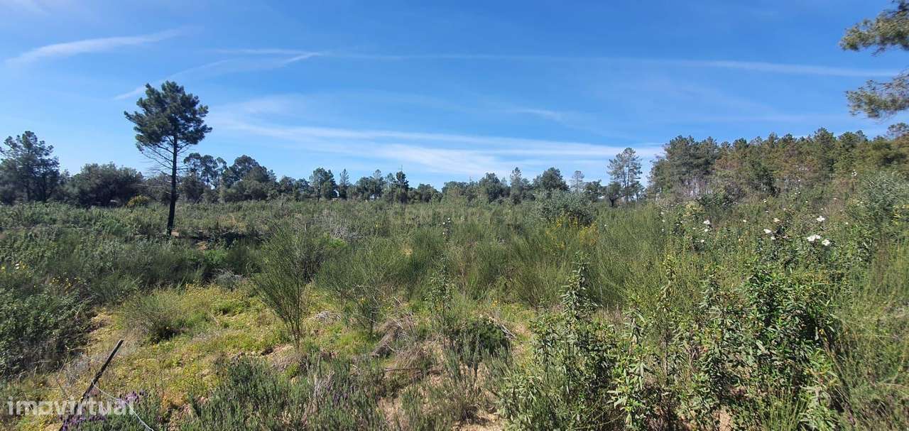 Terreno rústico com 11000m2 em Palvarinho, Castelo Branco - Grande imagem: 3/6