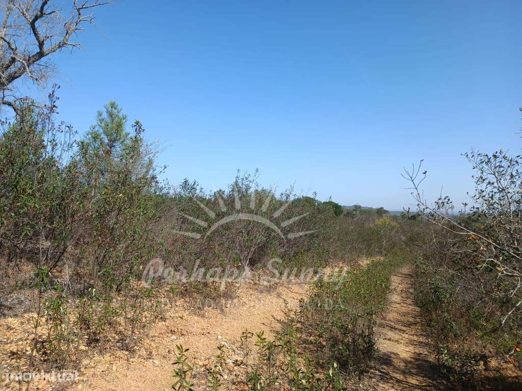 Terreno 14ha Santa Margarida da Serra - Grande imagem: 5/15