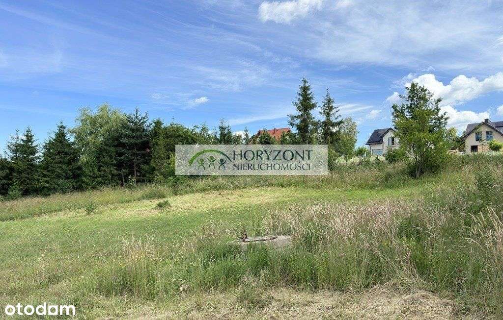 Czaple - dwie działki do wyboru - Pełny obrazek: 4/5