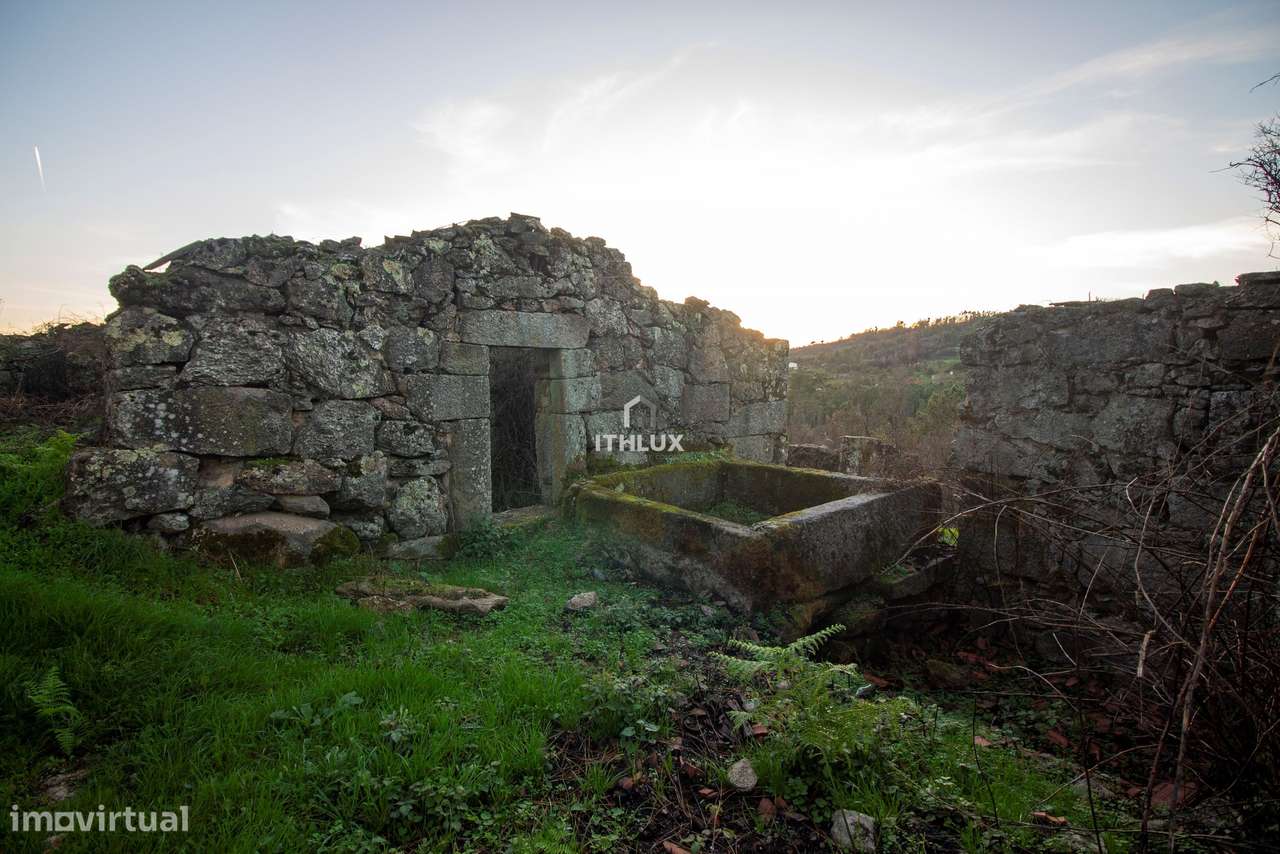 Quinta com 1ha, Cunha Alta, Mangualde - Grande imagem: 5/13