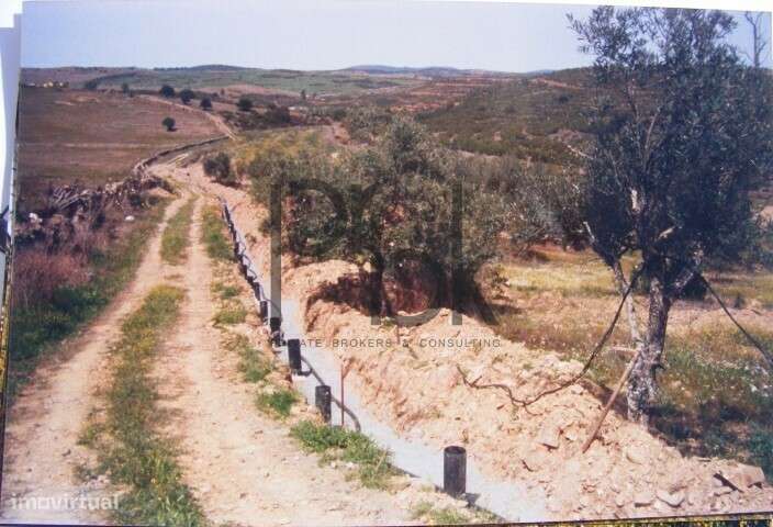 Herdade Montinho do Pascoal - Grande imagem: 4/34