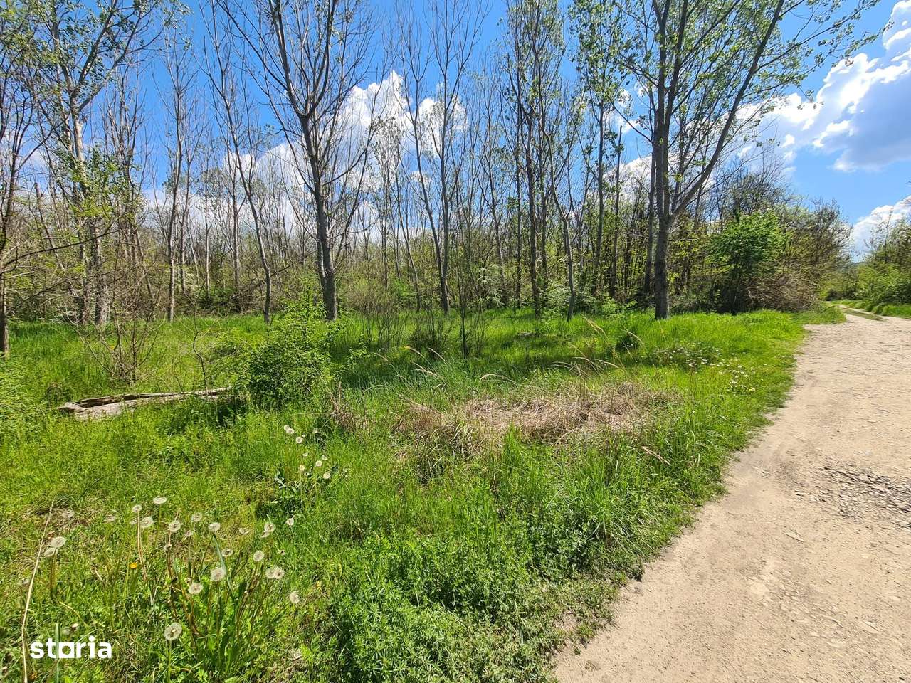 Teren de vanzare / Dem Radulescu-1