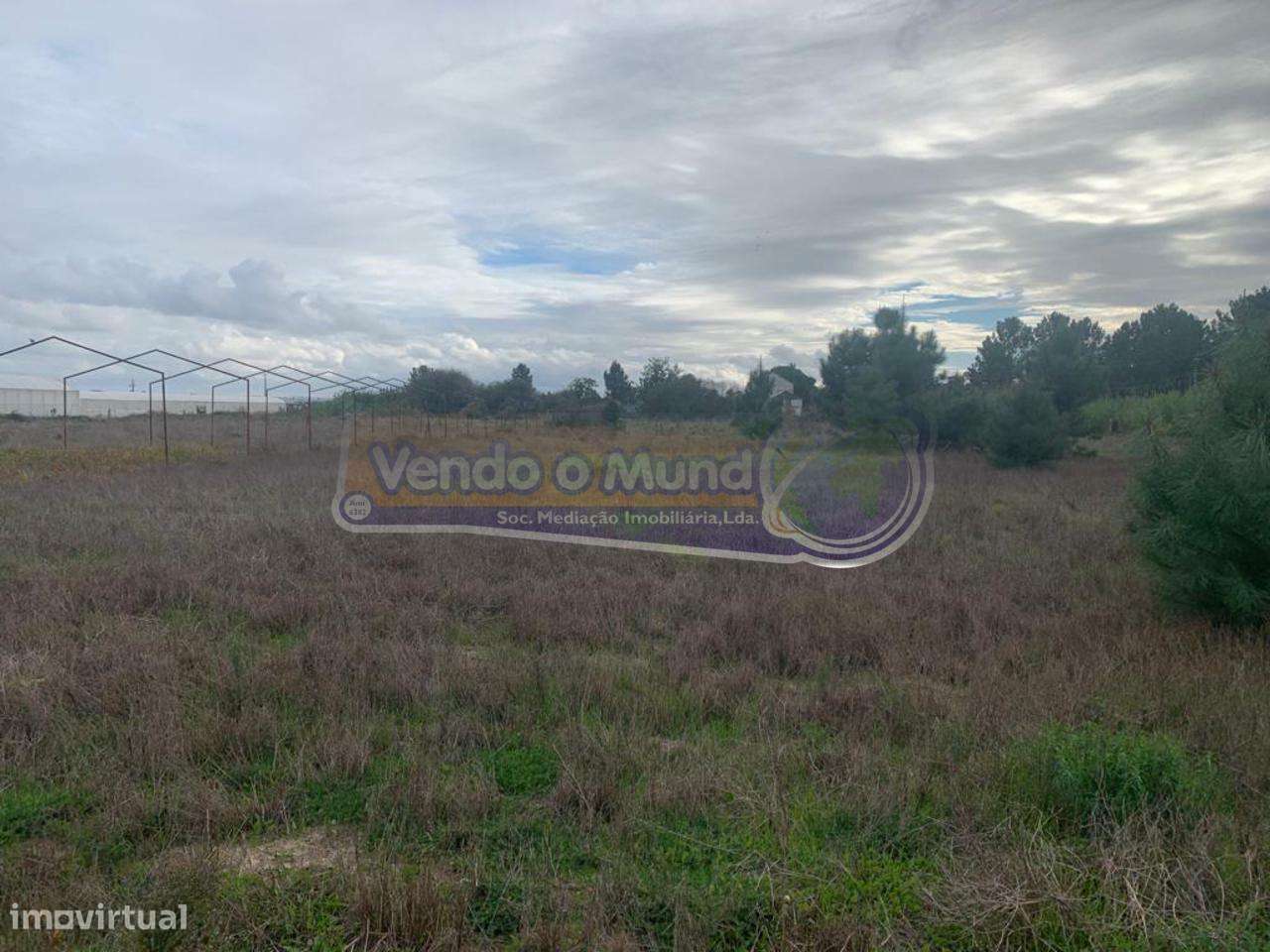 Terreno em Foros de Salvaterra (F758) - Grande imagem: 5/9