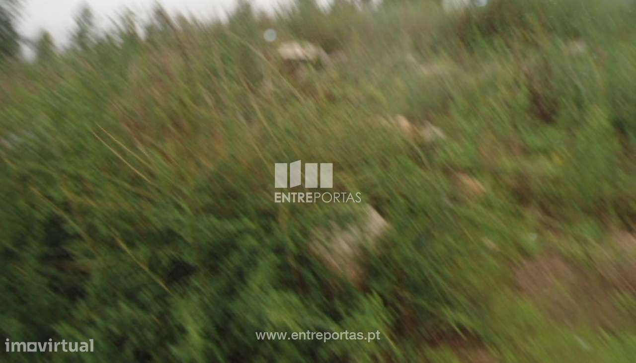 Venda Terreno, Croca, Penafiel - Grande imagem: 4/10