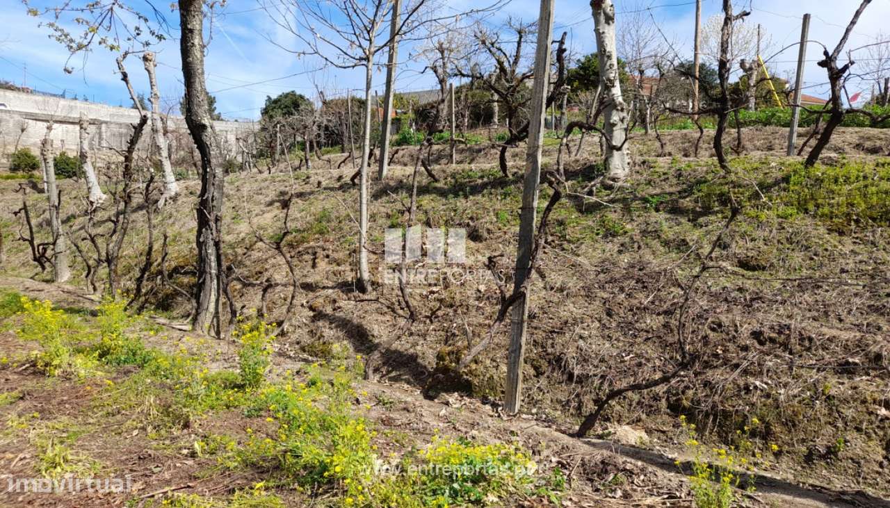 Venda Terreno, Fregim, Amarante - Grande imagem: 5/40