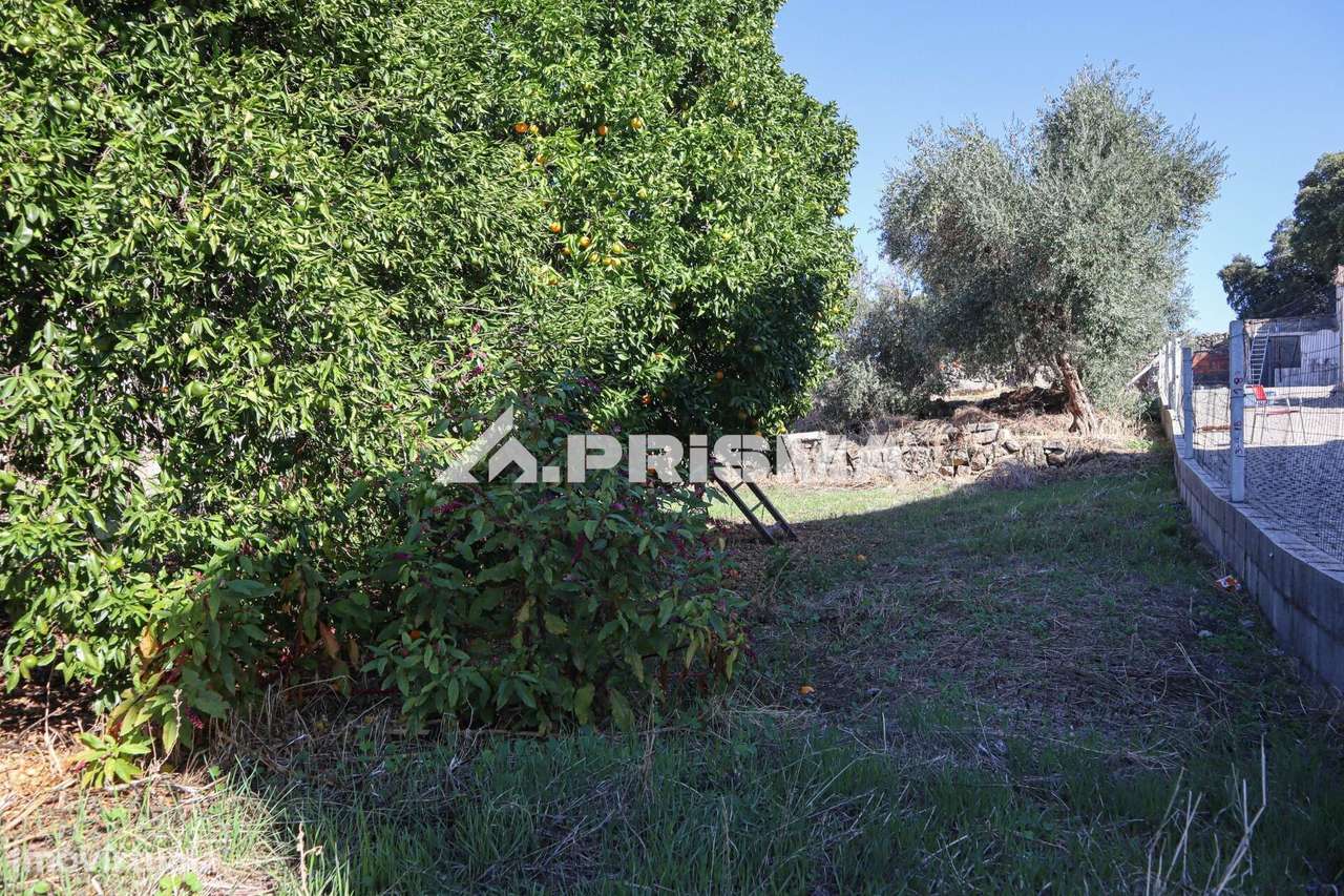 Terreno para venda em Alcains-14