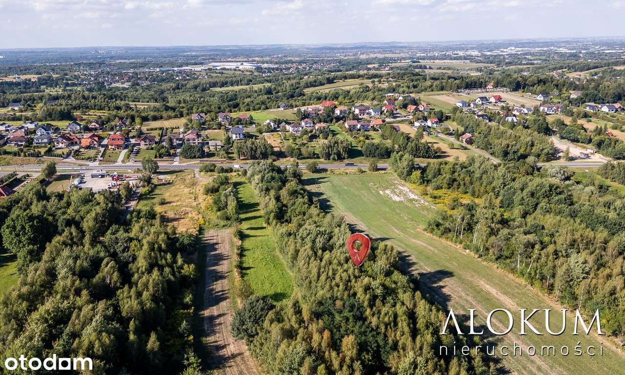 Działka przemysłowo - usługowa Bodzanów, gm. Biskupice. - Pełny obrazek: 5/13