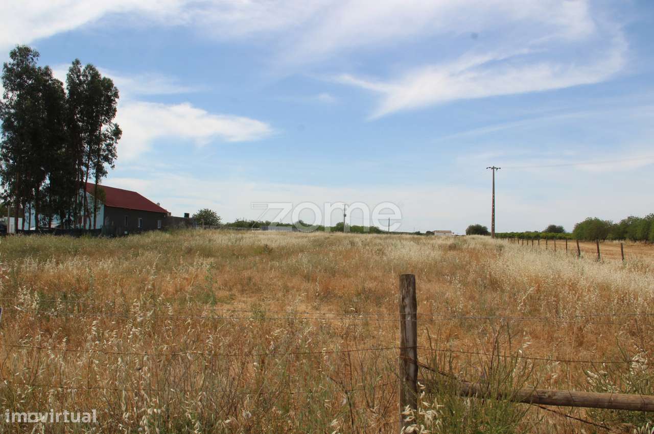 Terreno rústico com uma área generosa de 3 Hectares totalmente plan... - Grande imagem: 2/15