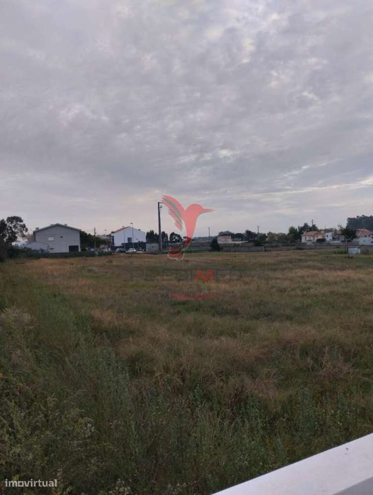 NOVIDADE - BEIRIZ, PÓVOA DE VARZIM - Grande imagem: 3/7