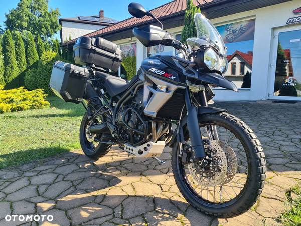 Triumph Tiger - 17