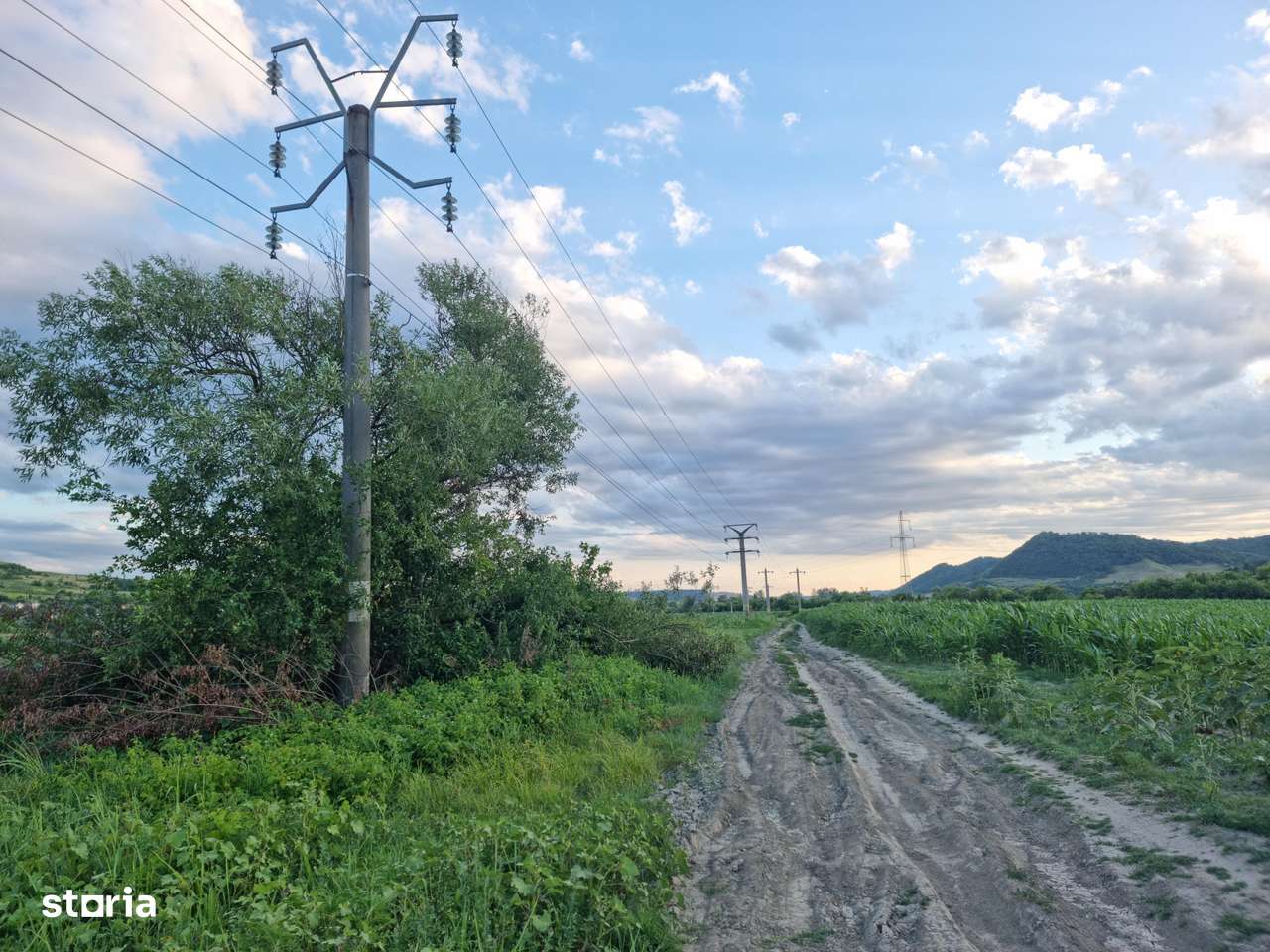 Teren pentru agricultură-6