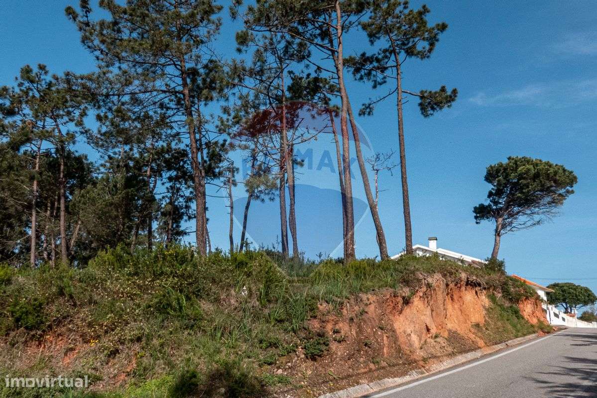 Terreno  para venda - Grande imagem: 4/13