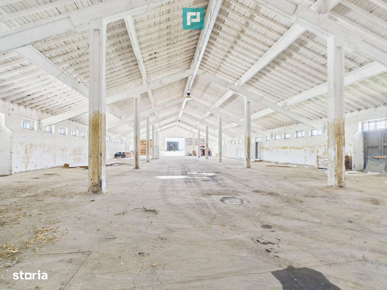 Hale 1800 mp fiecare – acces autostradă, Teiu, HD - Imagine principală: 4/20