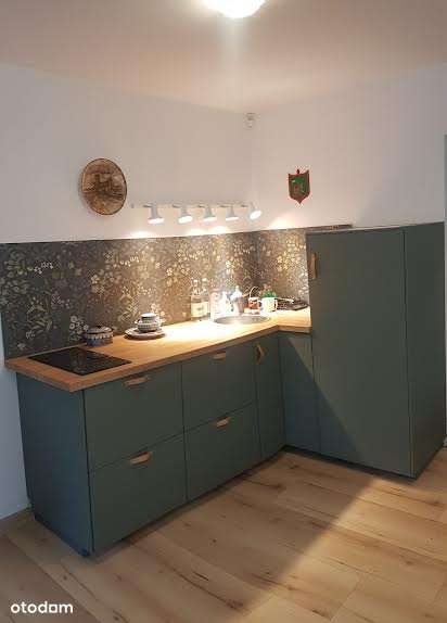 Krzyki Borek w zabytkowej willi,lokal po adaptacji i remoncie.-6