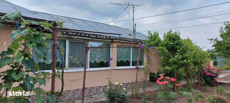 Casa batraneasca de vanzare (Teilor / 67) - Imagine principală: 4/5