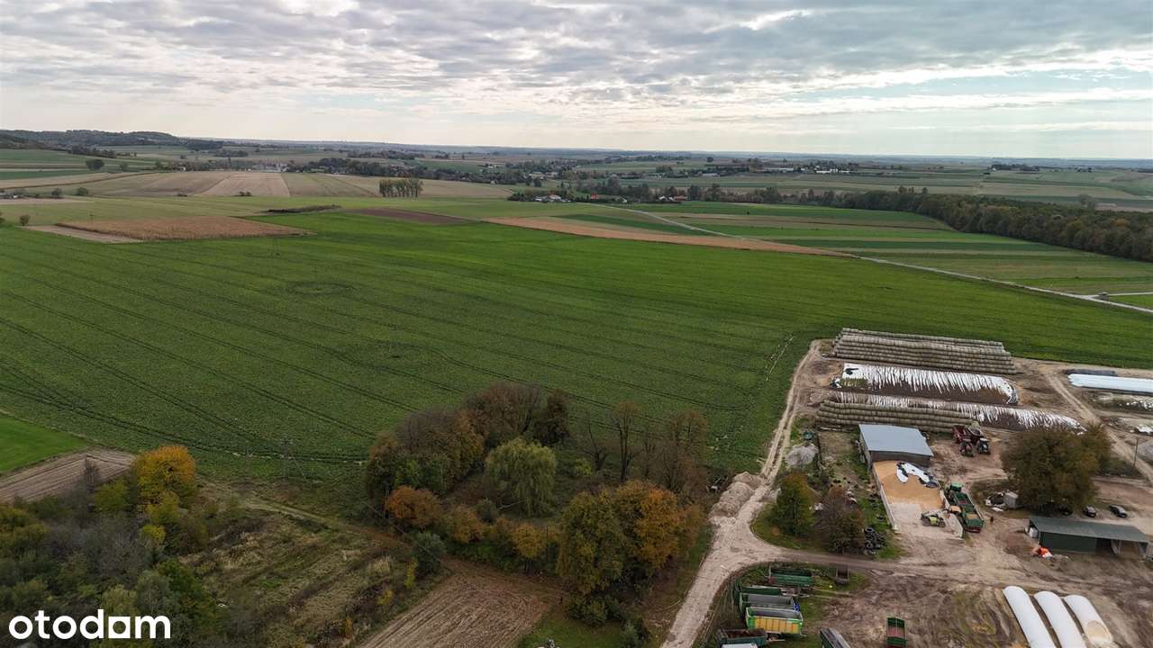 Działka na sprzedaż, Jabłonna-3