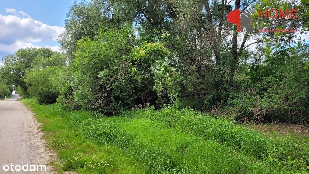 Teren dla dewelopera / inwestora - Miętowa-11