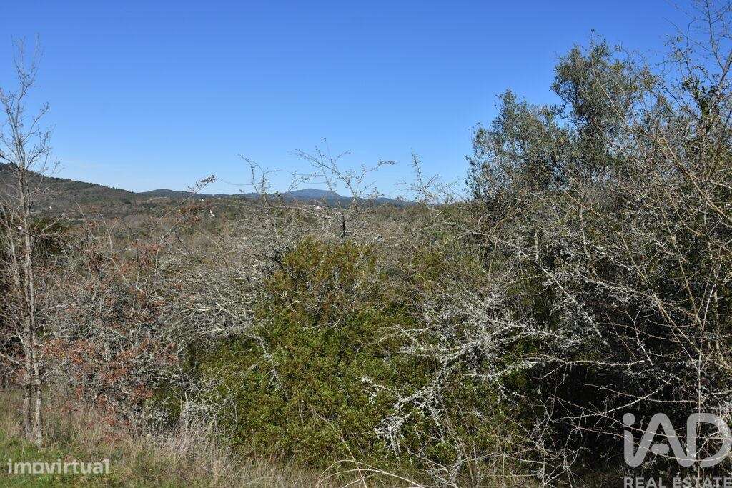 Terreno em Chãos de 2000,00 m2 - Grande imagem: 5/28