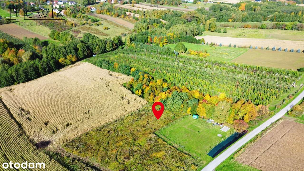 Piękna działka budowlana 29 ar - 12 min od Brzeska - Pełny obrazek: 4/19