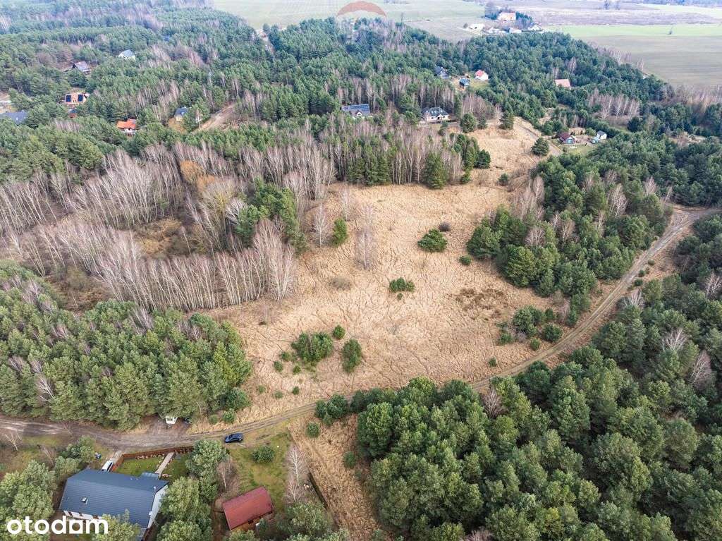 Dwie Piękne Działki Budowlane Karczewko - Pełny obrazek: 4/7