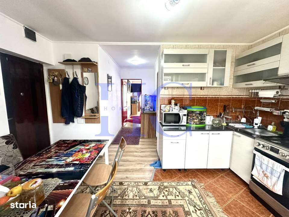 Apartament cu o camera + 40 mp de curte proprie, zona Terezian-4