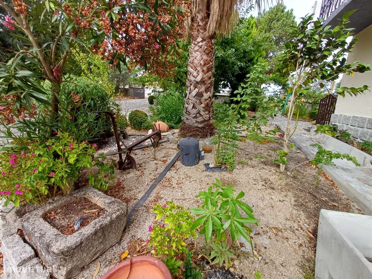 Propriedade com 2 casas-27