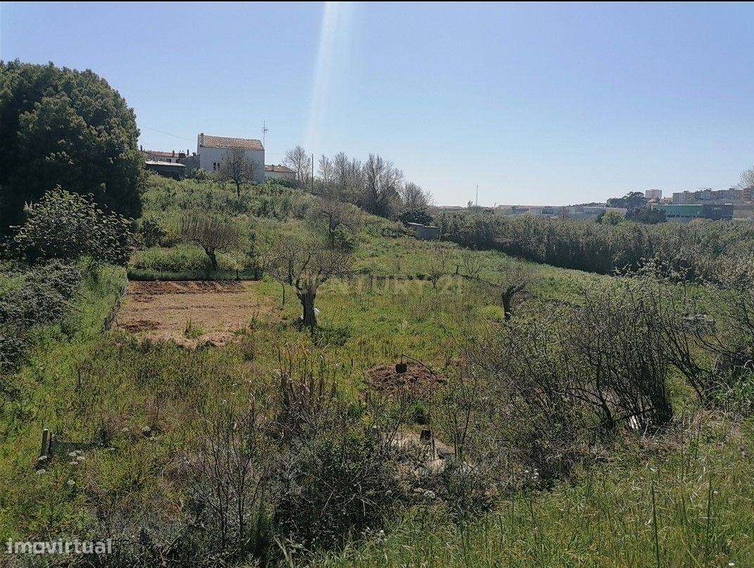 Terreno 2235 m2 para venda na Figueira da Foz - Grande imagem: 4/4