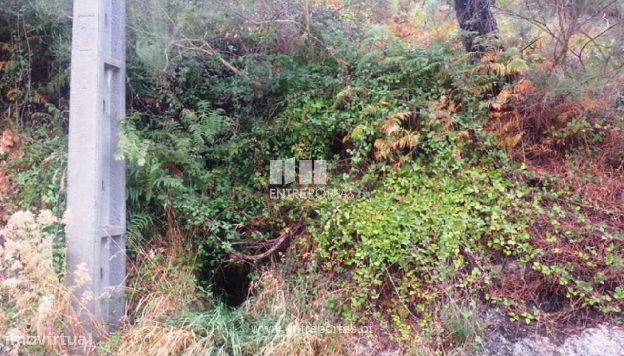 Venda Terreno, Ovil, Baião - Grande imagem: 3/8