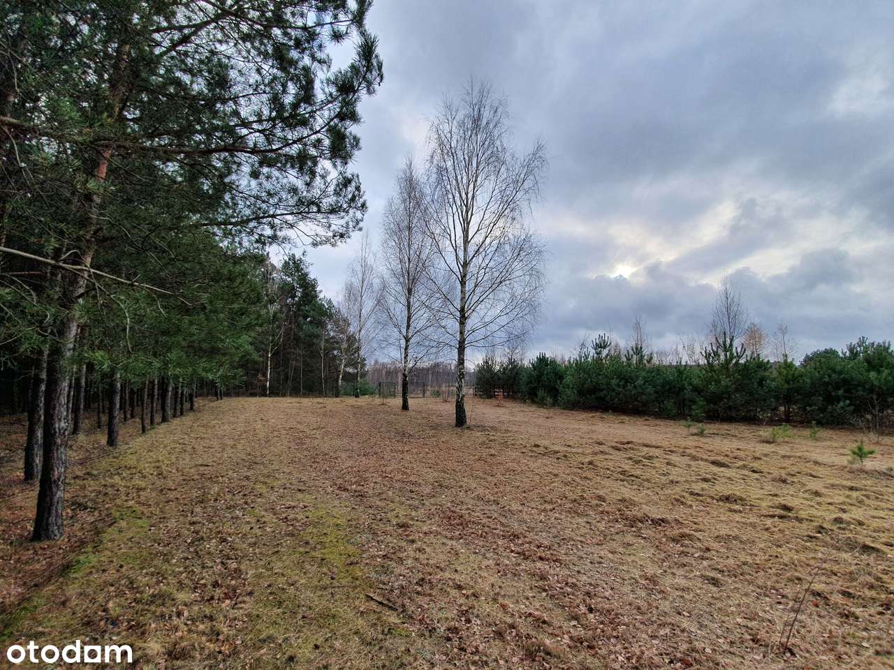 Działka z pozw. na budowę, projekt Inovia, j. Białe-9