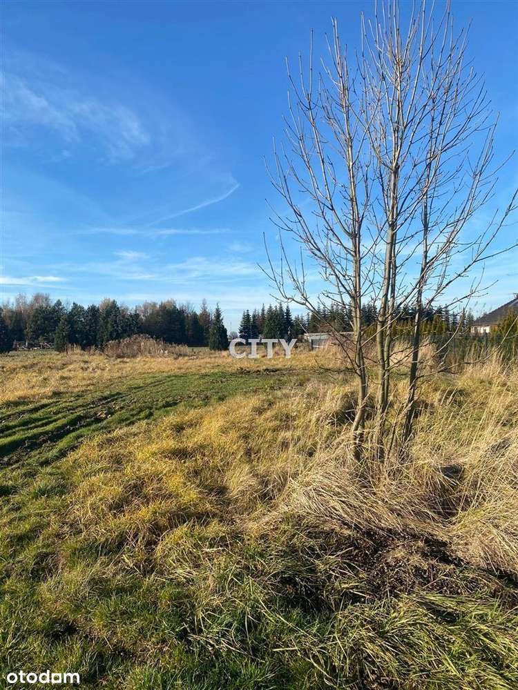 Duża piękna działka budowlana-3