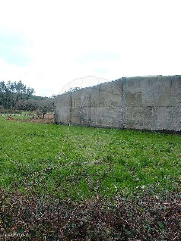 Armazém  para venda-6