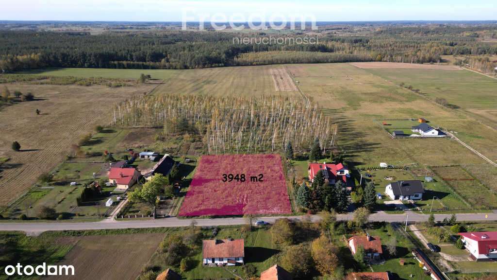 Atrakcyjna działka na Mazurach - Pełny obrazek: 3/13