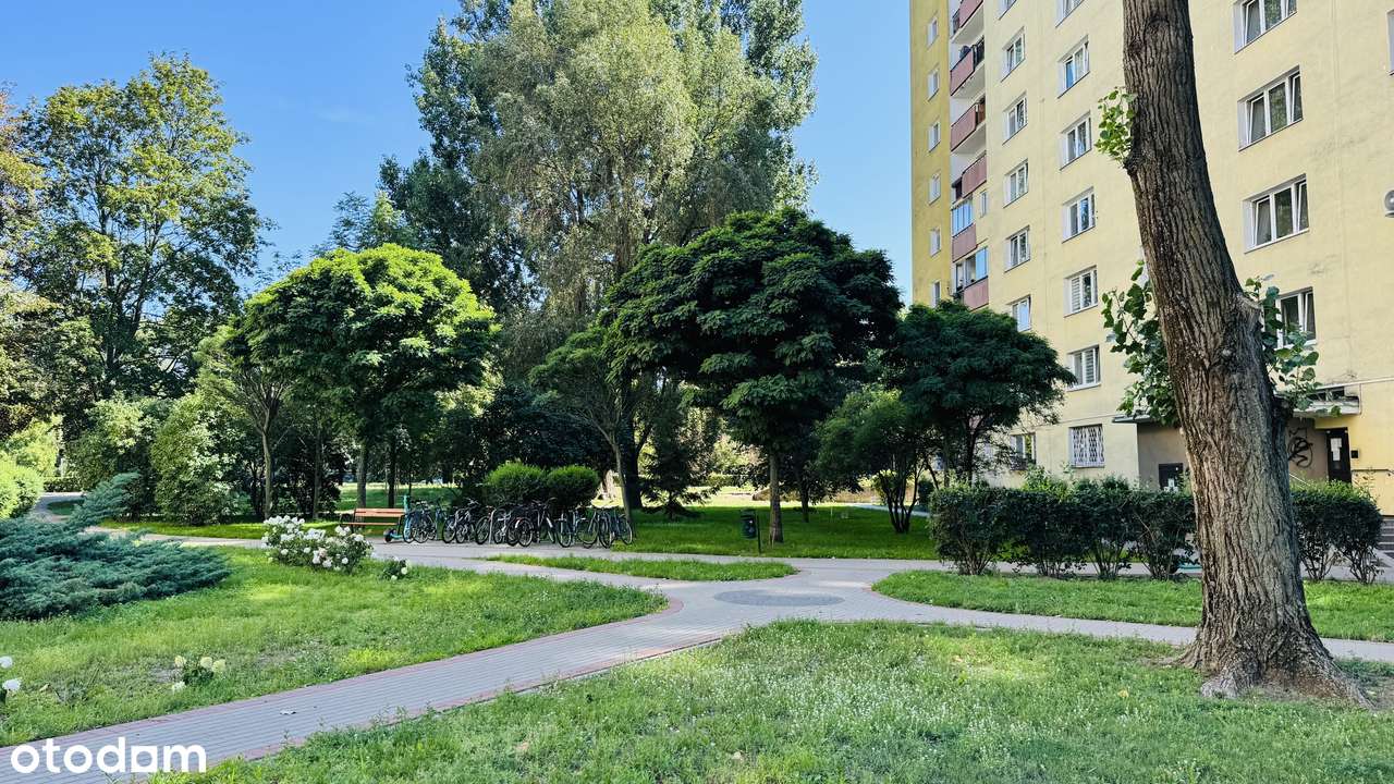 Kawalerka z wyposażeniem obok CH Arkadia - do wprowadzenia od zaraz-12