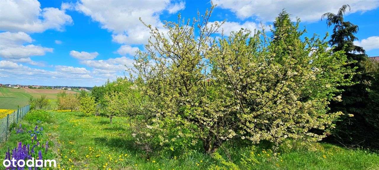 Dom w malowniczej okolicy-5