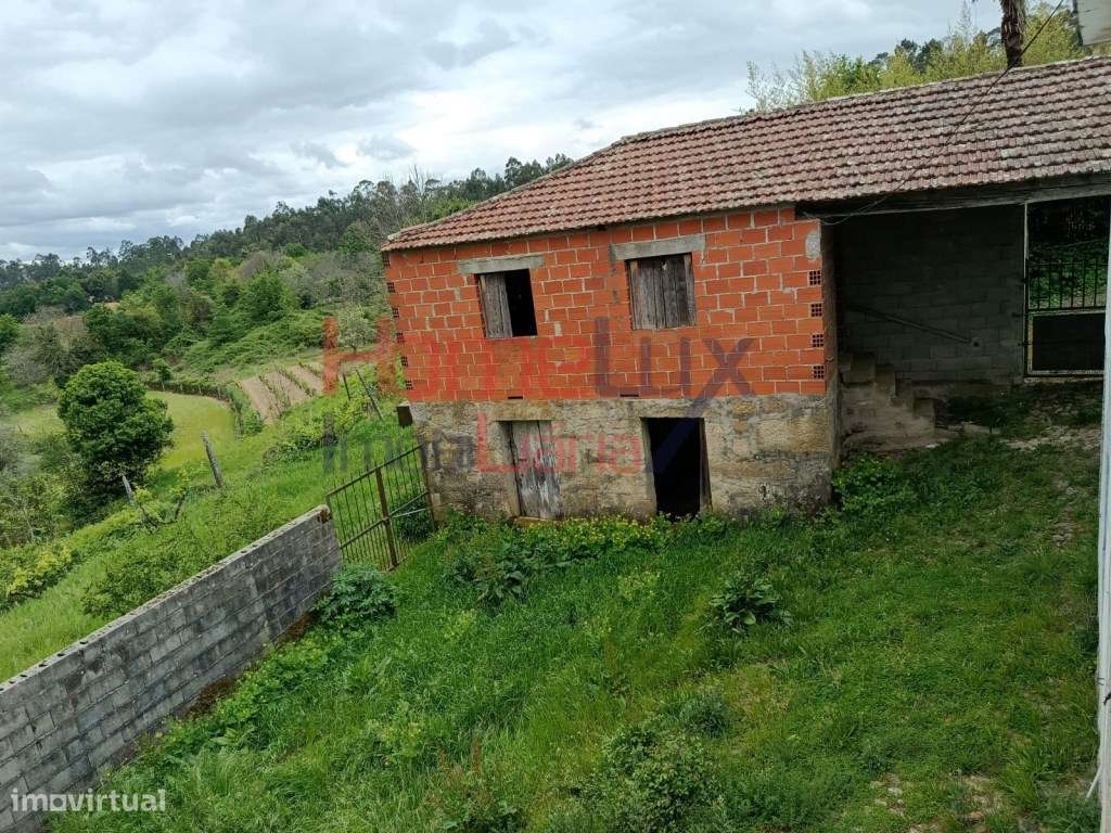 Quinta com Projeto para Turismo Rural em São Pedro do Sul-21