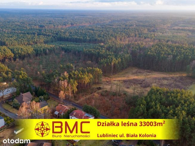 Działka Leśna 33003 m2 Lubliniec Biała Kolonia