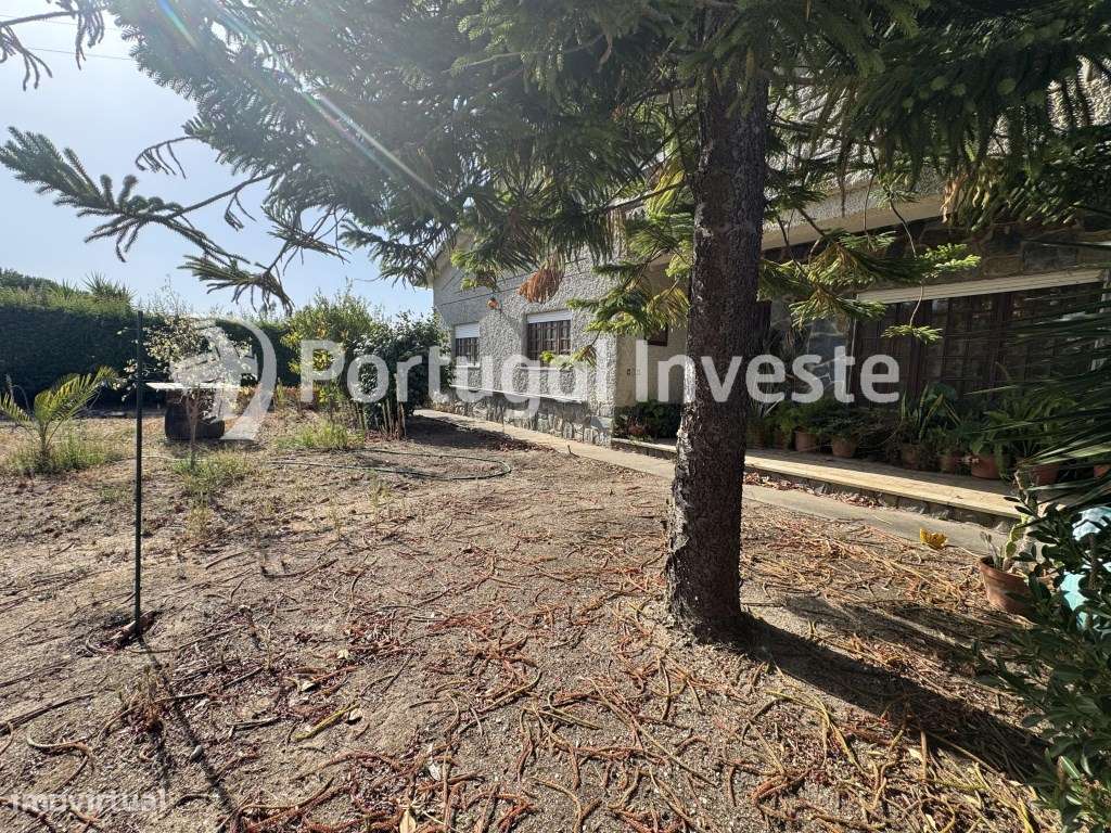 Moradia Térrea em Lote de 8000 m² - Torres Novas - Grande imagem: 5/48