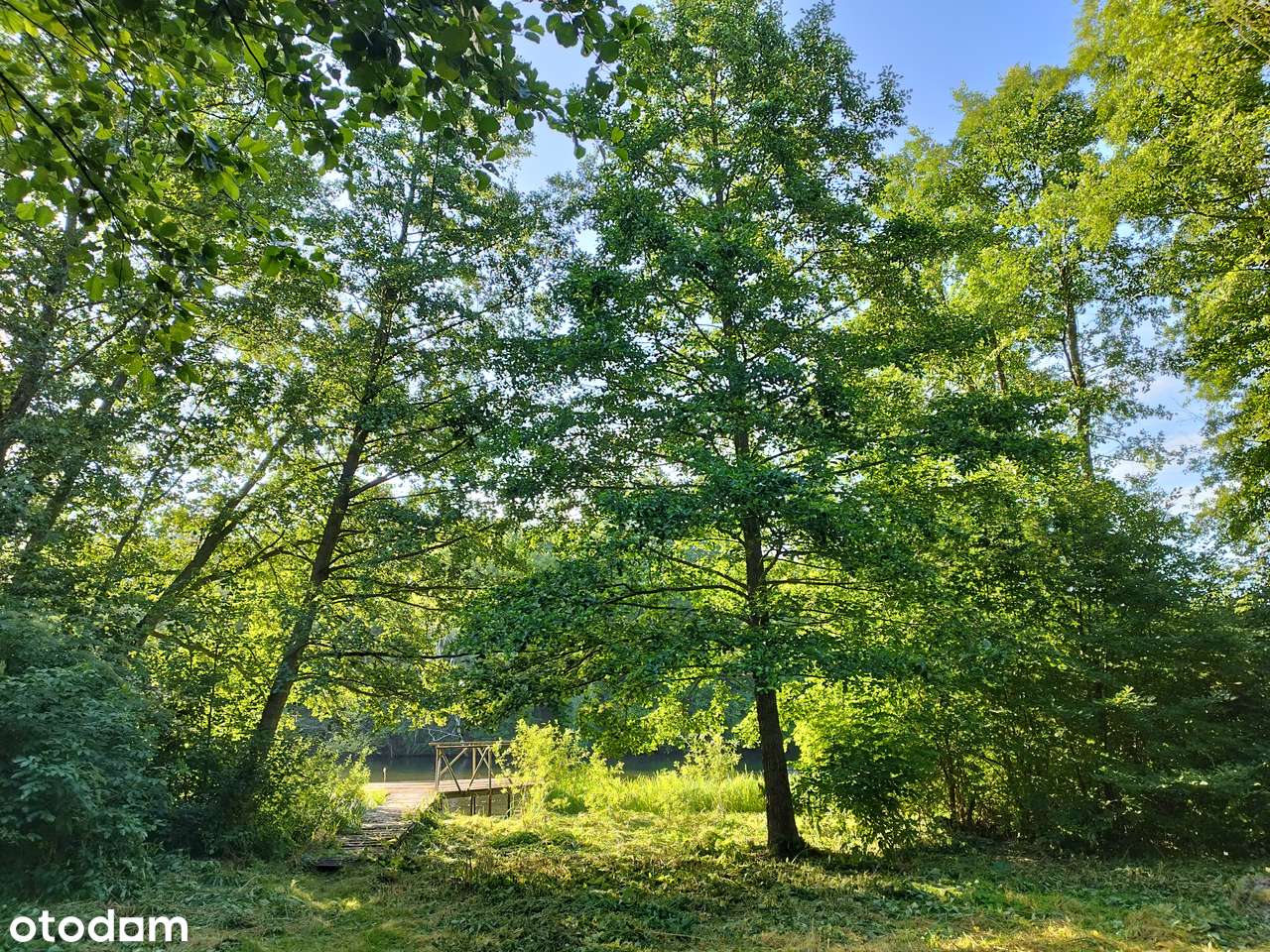 Działka nad rzeką , domek - wyjątkowa działka nad samą rzeką-11